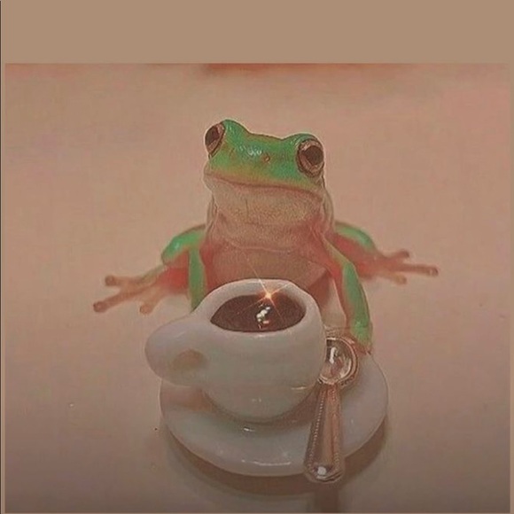 Meet your Posher, Deahna - Picture 1 of 1